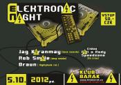 ELEKTRONIC NIGHT VOL. 10