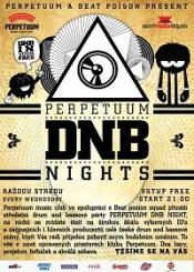 PERPETUUMDNB NIGHT 