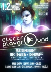 ELECTROPLAYGROUND PARTY
