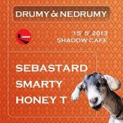 DRUMY I NEDRUMY