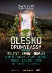 OLEŠKO DRUMYBASSY OPEN AIR 2013