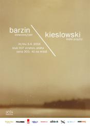 koncert: BARZIN
