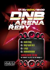 DNB ARENA ŘEPY