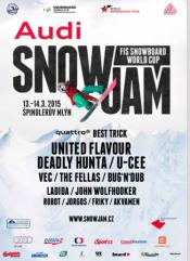 AUDI SNOW JAM