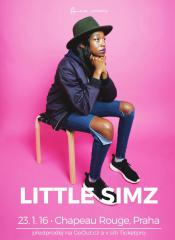 LITTLE SIMZ