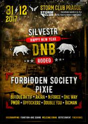 DNB RODEO SILVESTR