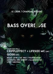 BASS OVERDOSE