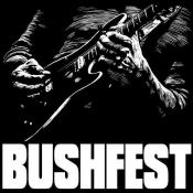 BUSHFEST OPEN AIR