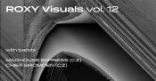 ROXY VISUALS VOL. 12