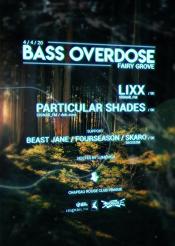 BASS OVERDOSE: FAIRY GROVE - LIXX