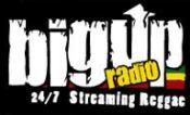 logo Big Up Radio