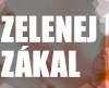 Festival Zelenej zákal