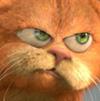 Garfield 2