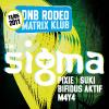 DNB RODEO, 13.5. Matrix